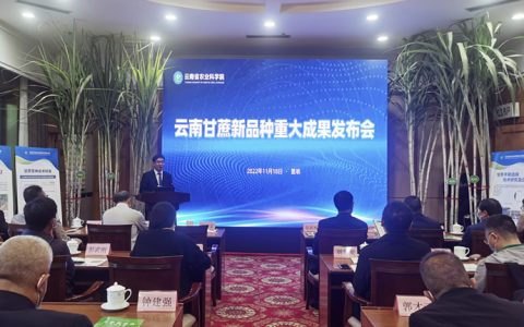 云南甘蔗新品种选育应用取得重大突破