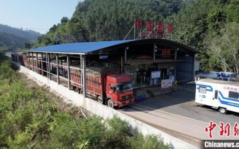 中老榨季甘蔗跨境运输开启 4天已有3400余吨甘蔗入境