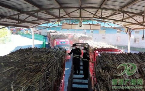 普洱市勐康海关全力保障进口老挝甘蔗顺利通关