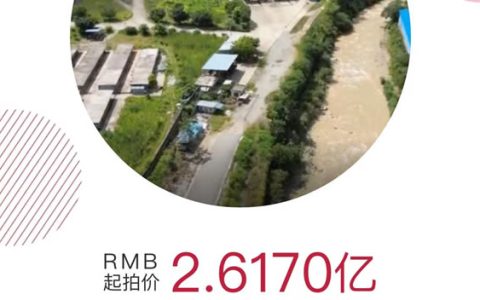 金平县金珂糖业有限责任公司第一轮资产拍卖公告