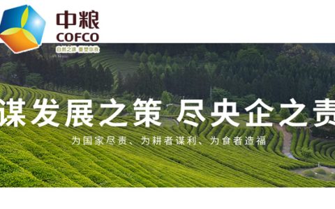 中粮糖业建成国内食糖行业首家零碳工厂