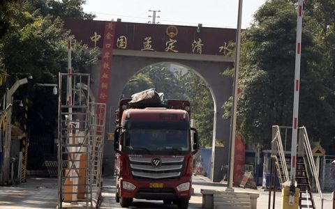 中缅清水河口岸每天300多车甘蔗进入中国 累计已达数万吨