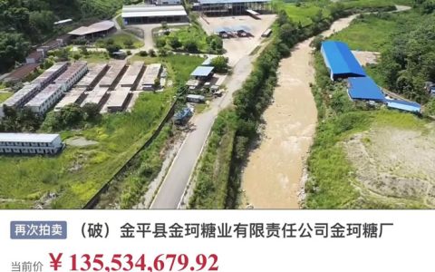 云南省金平县金珂糖厂成功拍卖 历经六次降价