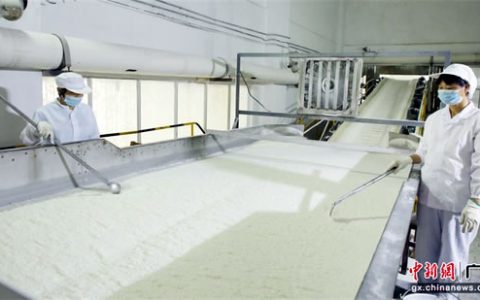 南宁糖业：把牢食糖生产“三关” 保障“舌尖上的安全”