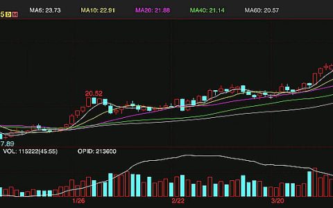 ICE糖期货连续多个交易日上涨后迎来回调