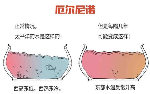 新华社：世界气象组织发布今年出现厄尔尼诺现象的可能性正在增加