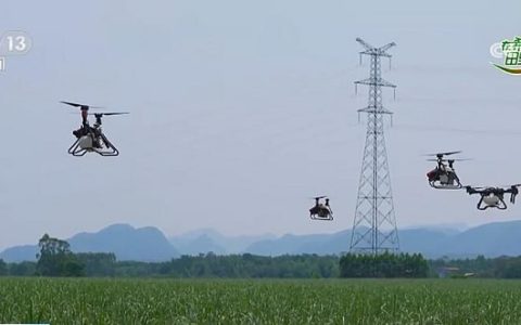 央视网：现代农业机械助力 30万亩糖料蔗进入夏管关键期