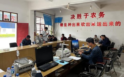 “云糖贷”为临沧蔗糖产业注入金融活水