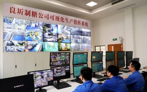 广西糖业集团：锚定科技创新注入发展新动能