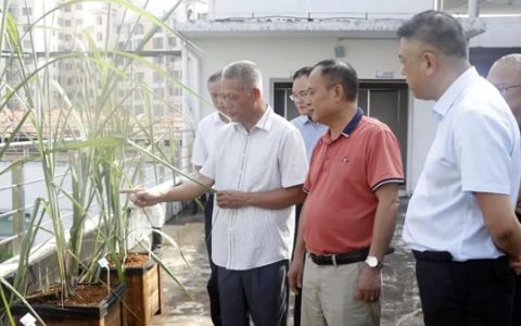 科技加持！广西来宾“甜蜜事业”糖份更足