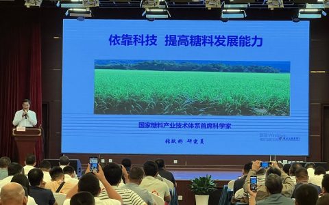 2023年甘蔗提质增效关键技术培训班在昆明开班