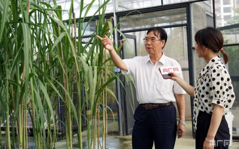 四十载潜心科研 助蔗农减负增收糖厂提质增效