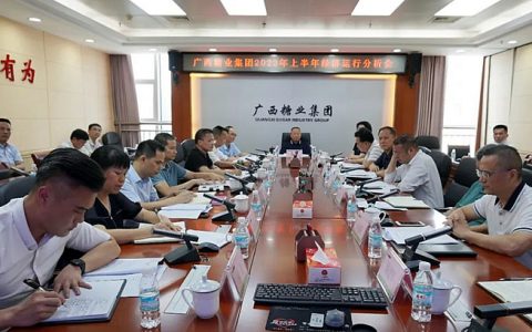 广西糖业集团召开经济运行分析会 上半年实现营收71亿元