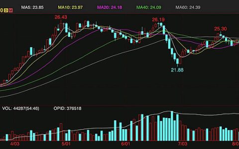 本周外盘ICE原糖期货周线上涨2.7% 预计年底维持24美分