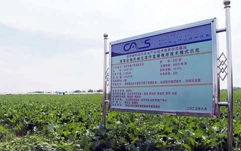 讷河市扎实推进甜菜产业发展 “甜蜜事业”越做越甜