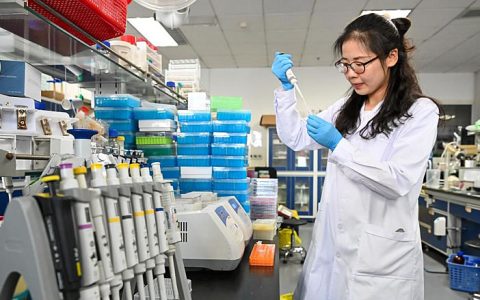 新华社：祝贺！中国科学家实现从二氧化碳到糖的精准全合成