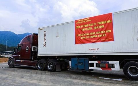 越南和平省向美国出口17吨新鲜甘蔗 年出口300吨