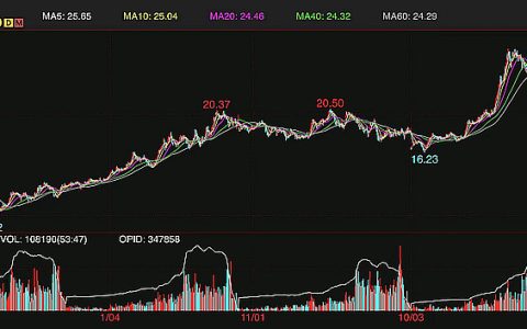 国际糖价创12年以来新高 ICE原糖期货收盘26.65美分/磅
