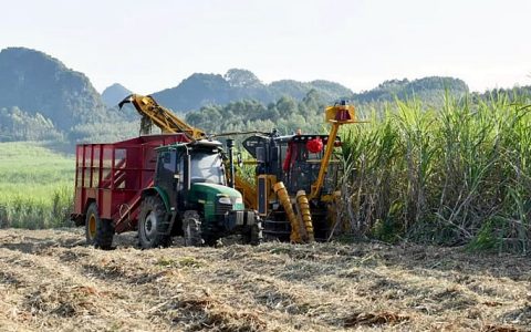 农行广西分行助力来宾“甜蜜引擎”跑起来
