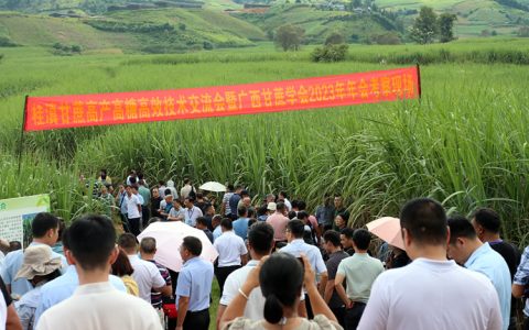 桂滇两省（区）专家齐聚西双版纳 共谋蔗糖产业高质量发展