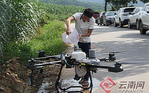 云南景谷：科技助农 无人机“飞防”8万亩甘蔗