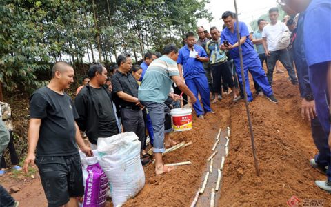 普洱市景谷县：“良技”加“良方”助推甘蔗甜蜜增收