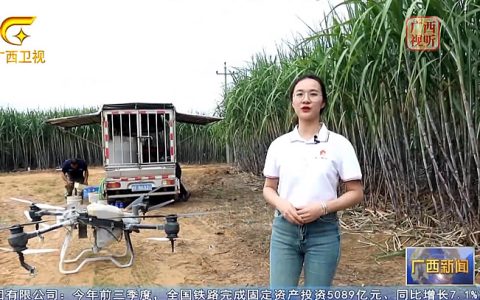 崇左：千方百计稳蔗稳糖稳农 守好国家“糖罐子”