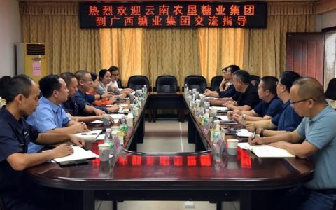 云南农垦糖业集团调研组到广糖集团调研