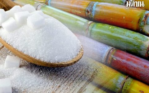 泰国上调食糖出厂价 零售价上涨至每公斤27-28泰铢