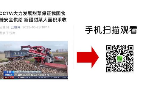 视频：大力发展甜菜保证我国食糖安全供给 新疆甜菜大面积采收