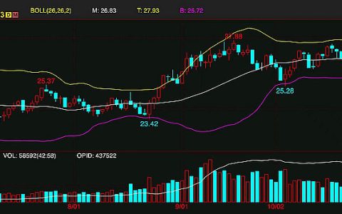 受巴西增产预估影响 隔夜外盘原糖期货下跌2.2%