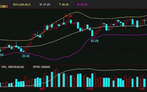 本周外盘原糖期货再创12年新高后回调盘整