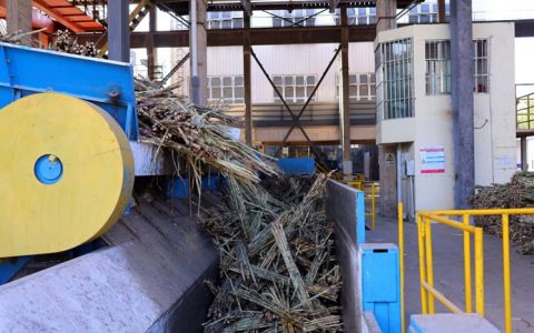 新榨季全国首家开榨糖厂--勐捧糖厂已产糖6908吨 实现开门红