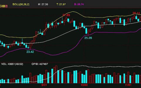本周外盘原糖期货运行情况 全球食糖供应缺口缩减