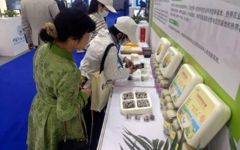 中国热科院生物所太空育种甘蔗及深加工食品亮相深圳高交会
