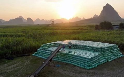 秸秆饲料化！柳州市柳城县甘蔗尾梢“变废为宝”