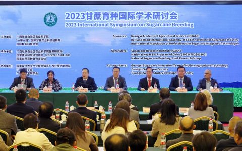2023甘蔗育种国际学术研讨会在邕举办 多国专家献策发展甘蔗育种