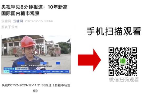央视罕见8分钟报道：10年新高 国际国内糖市观察