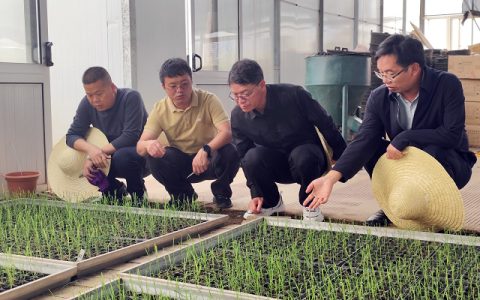 云南甘蔗所科技支撑云南富宁湘桂糖业高质量发展
