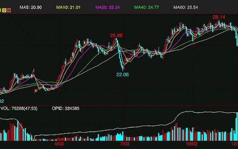 外糖年末反弹昙花一现 年度涨幅2.7% 2023年度回顾