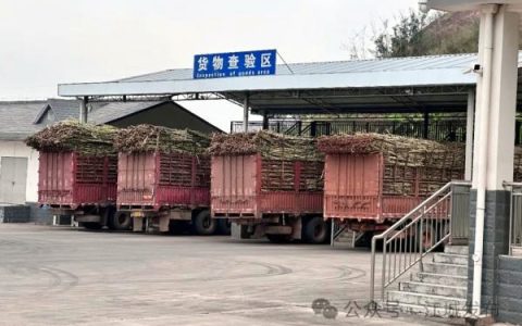 云南：“边民互市＋落地加工”助力口岸经济发展 糖企受益