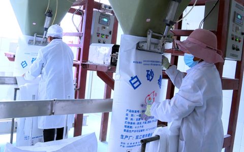 2024/25榨季全国产糖量新预估：广西增产80万吨 种植面积再创新高