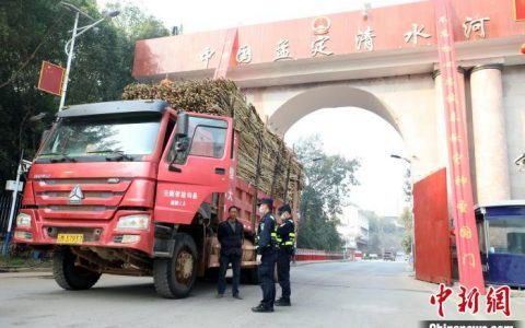 2023/24年榨季清水河边检站已保障10万余吨缅甸甘蔗入境