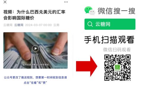 视频：为什么巴西兑美元的汇率会影响国际糖价走势