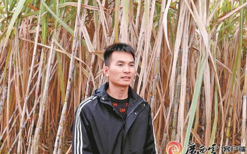 政协委员、人大代表：关于推动广西蔗糖产业稳面提质增效