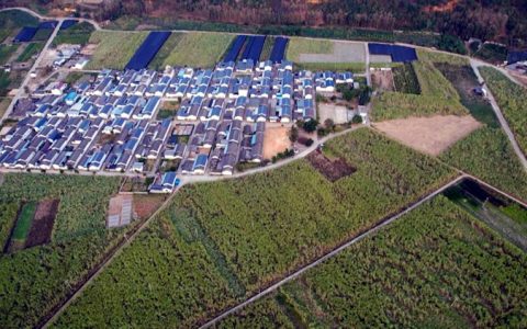 云南龙陵：聚焦糖业优势 助农增收保稳定