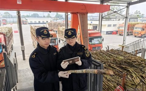 为“甜蜜”护航 云南畹町海关保障榨季甘蔗进口安全畅通 
