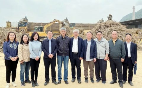 农业农村部甘蔗专家组到广西开展甘蔗生产机械化情况调研