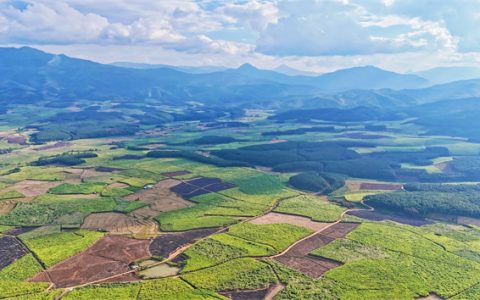 英茂糖业版纳公司：“甜蜜事业”向外发展 “走出去”