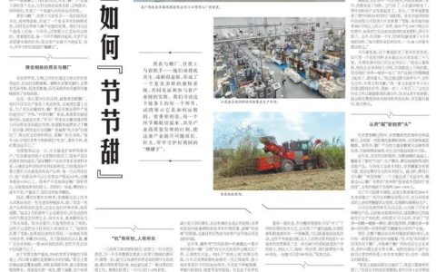农民日报：甘蔗产业如何“节节甜”